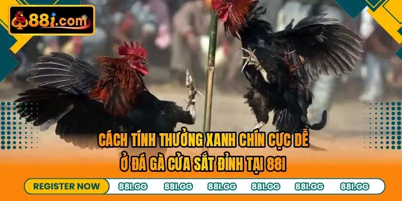 Cách tính thưởng xanh chín cực dễ ở đá gà cửa sắt đỉnh tại 88I