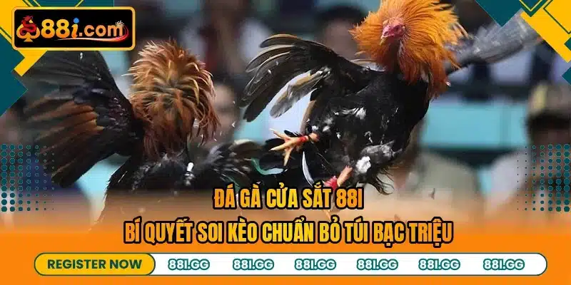 Đá Gà Cửa Sắt 88I - Bí Quyết Soi Kèo Chuẩn Bỏ Túi Bạc Triệu