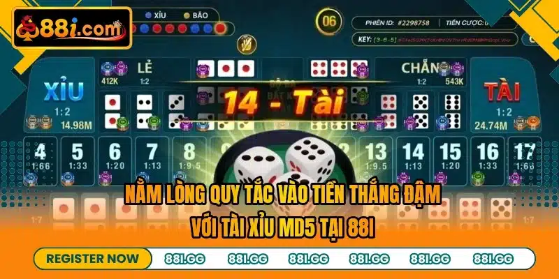 Nằm lòng quy tắc vào tiền thắng đậm với tài xỉu MD5 tại 88I